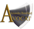 Logo cabinet d'avocats Avignon